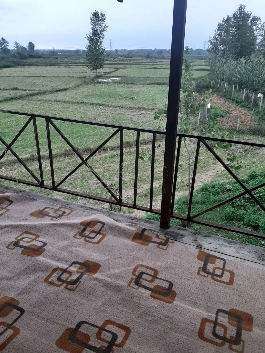 اجاره ویلا، سوئیت، بادان محله پاشاکی