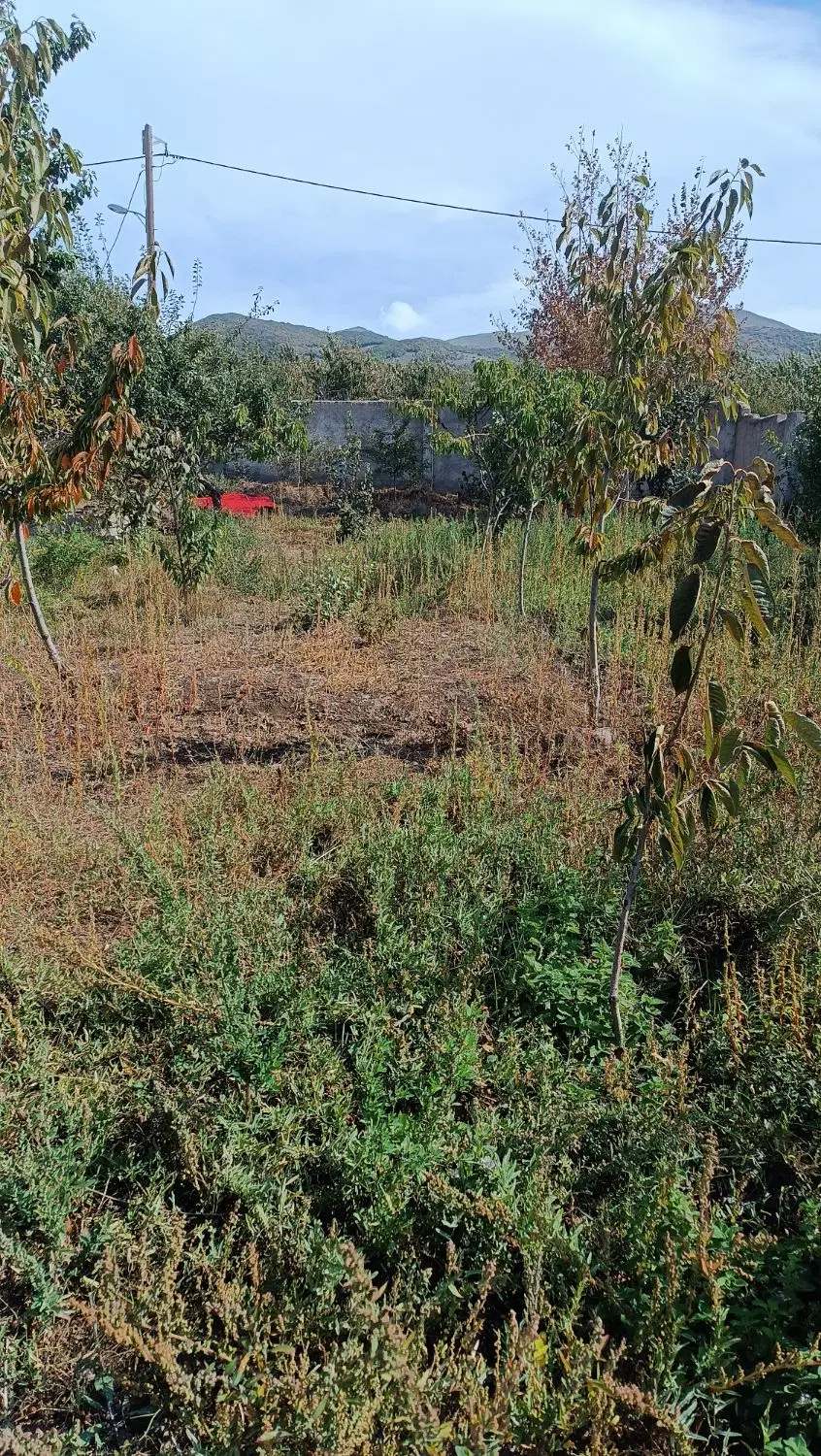 زمین 500 متری در روستای حور