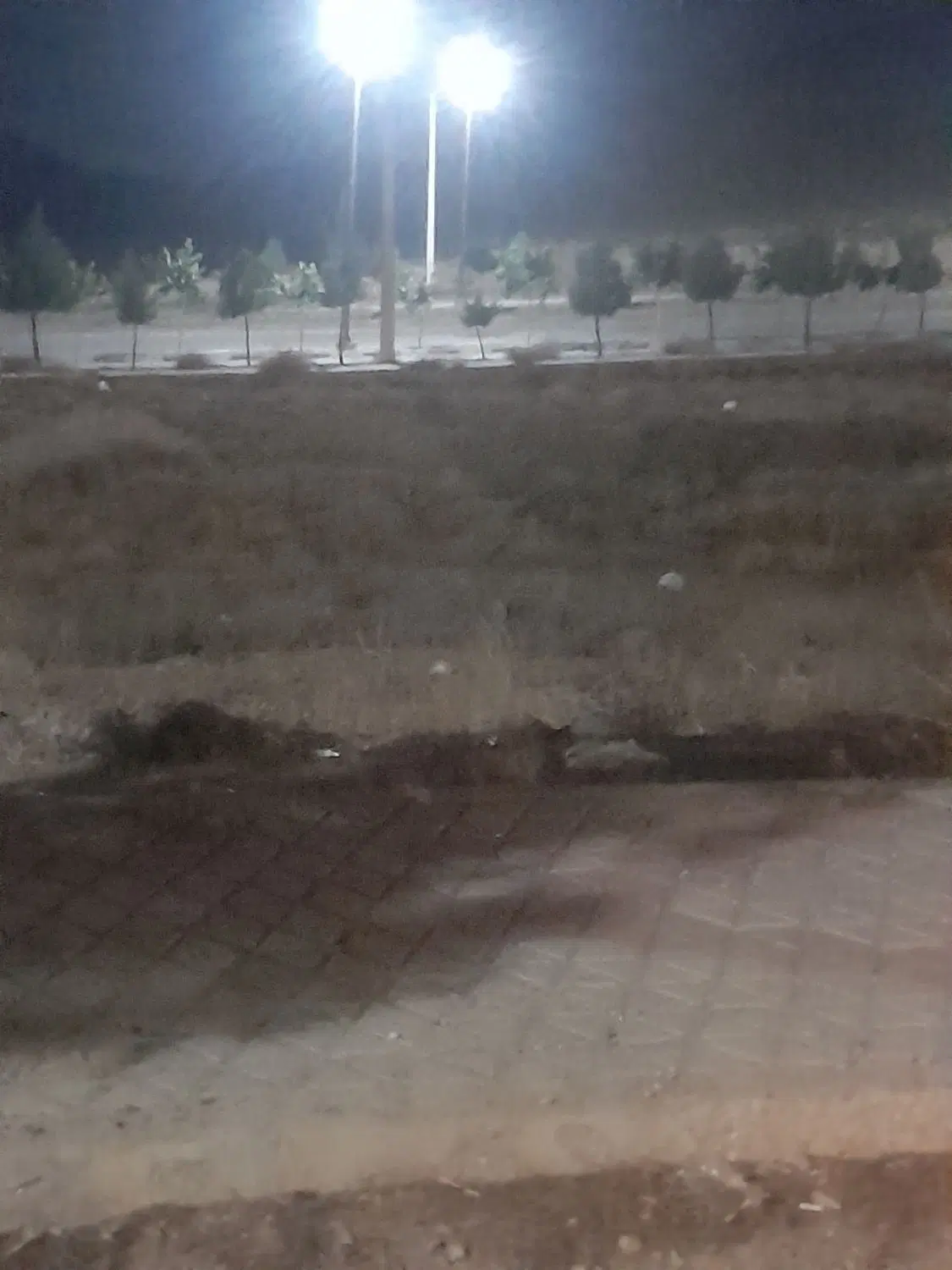 زمین بلوار سمیه