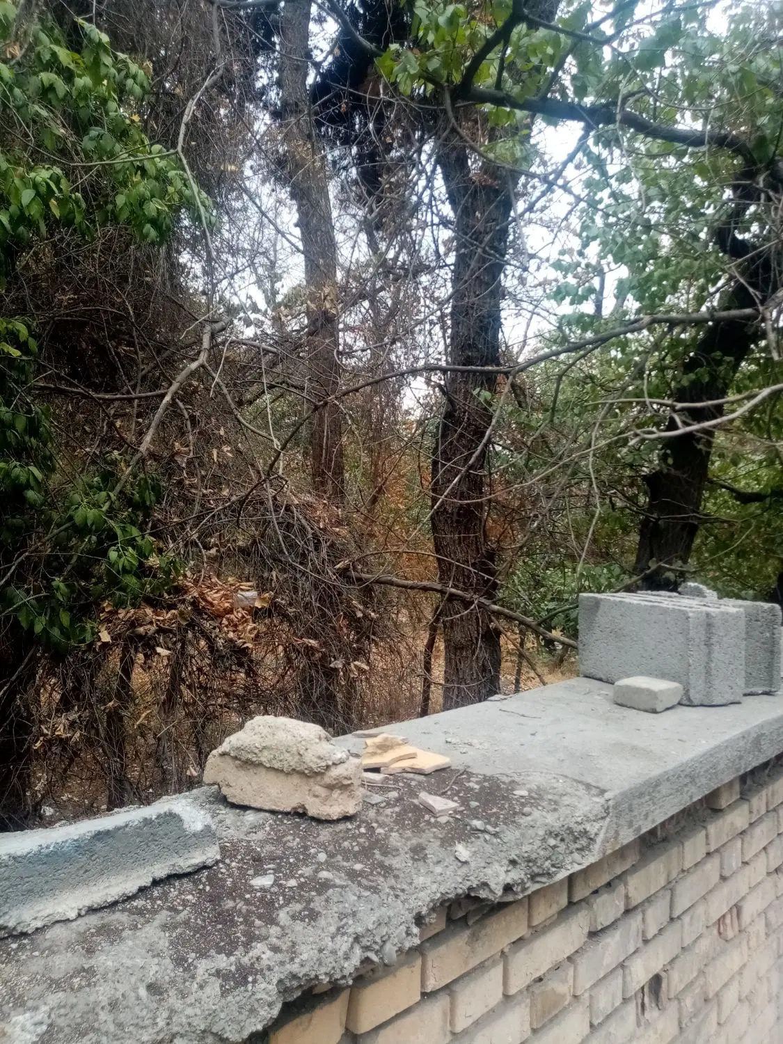 زمین هکتاری