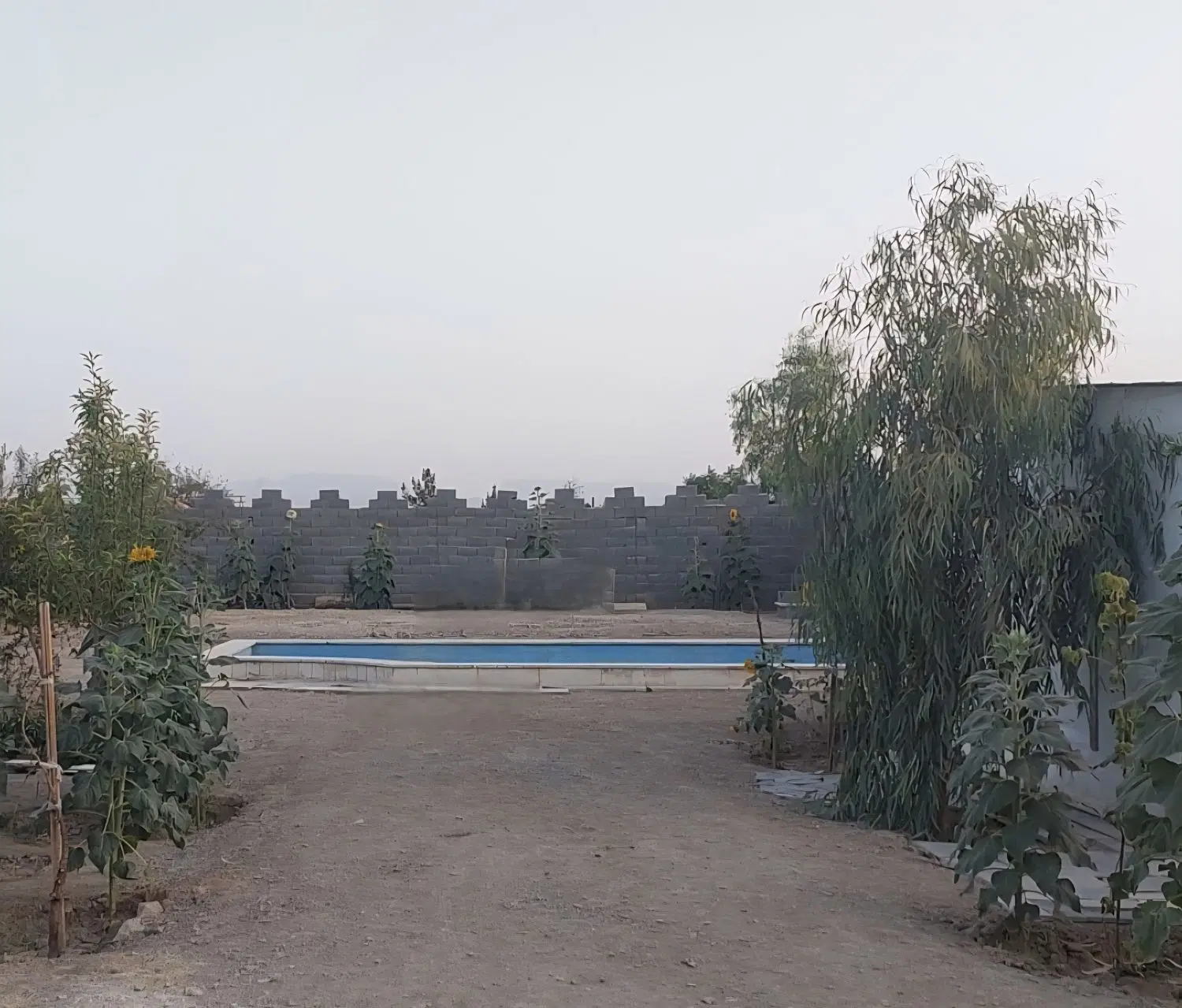 باغ تبرئه دار
