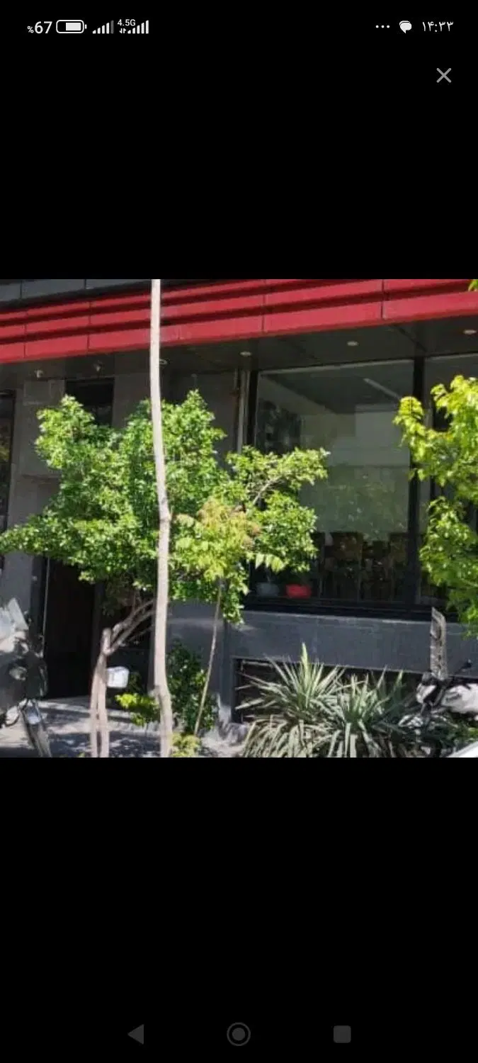 مغازه بحر اصلی پونه شرقی