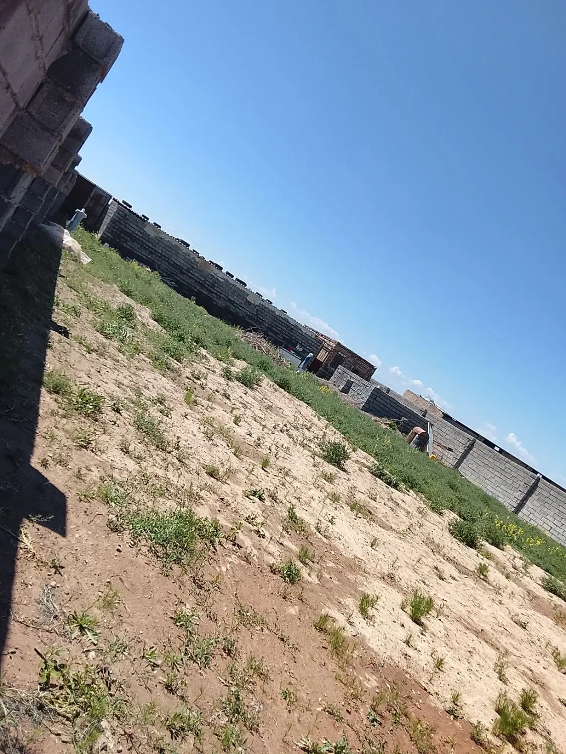 زمین فروشی روستای فیض آباد شهرستان تایباد
