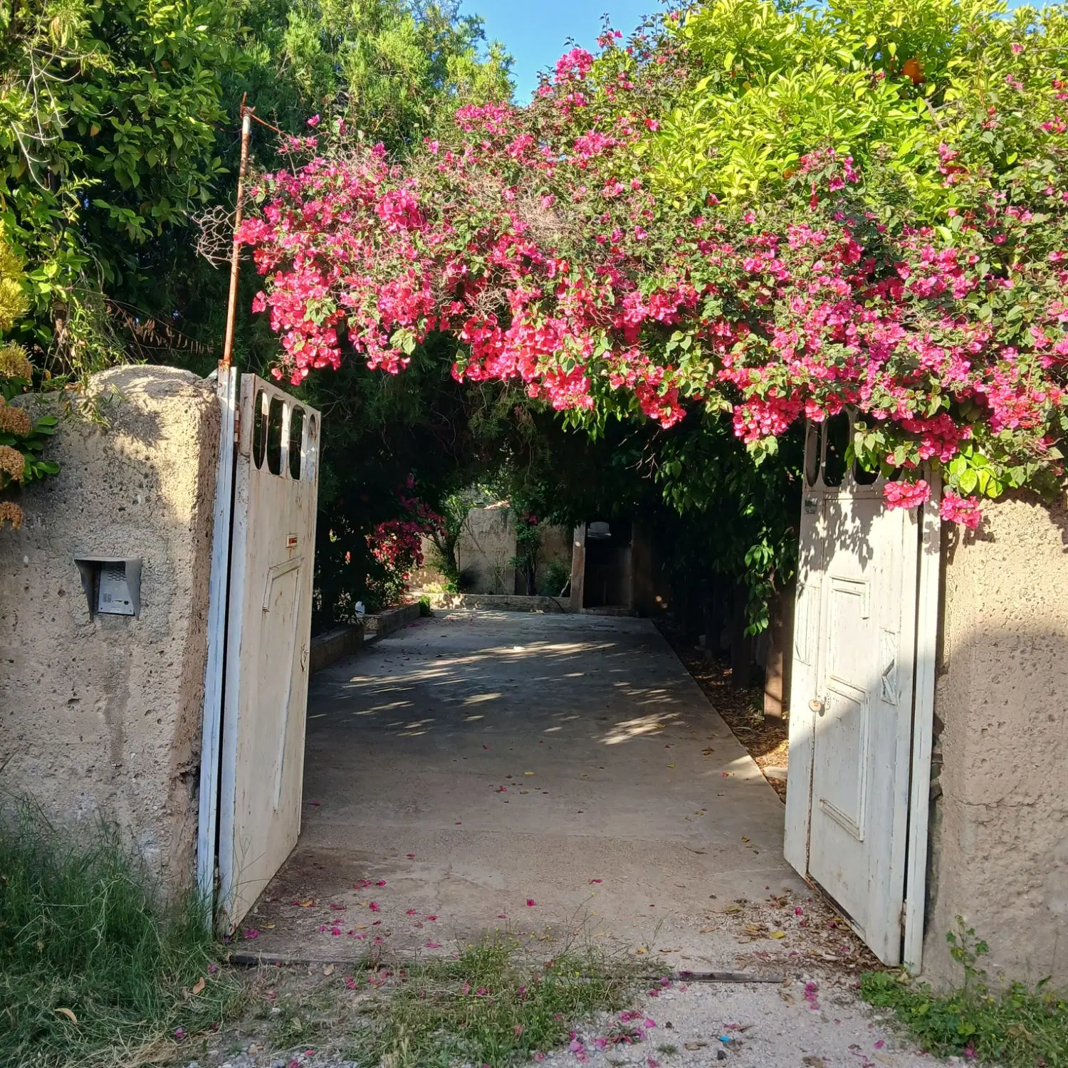 فروش