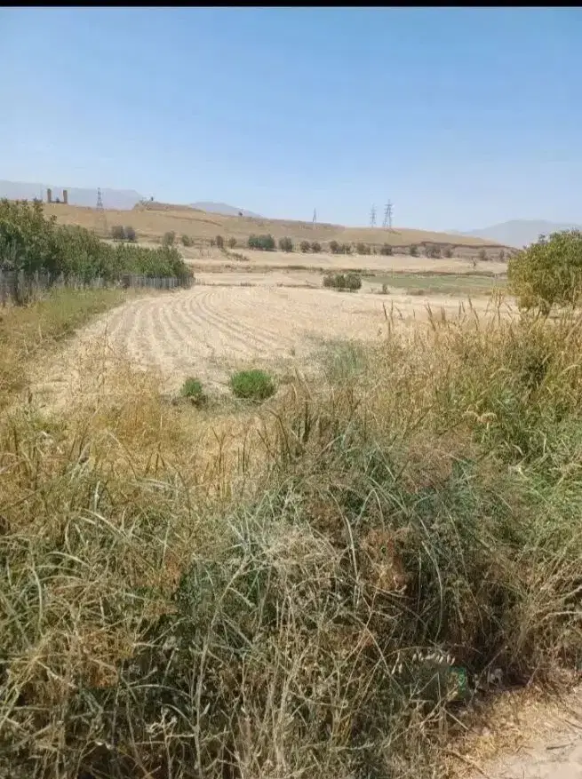 زمین کشاورزی اماده باغ درروستای سرسبزچغادون