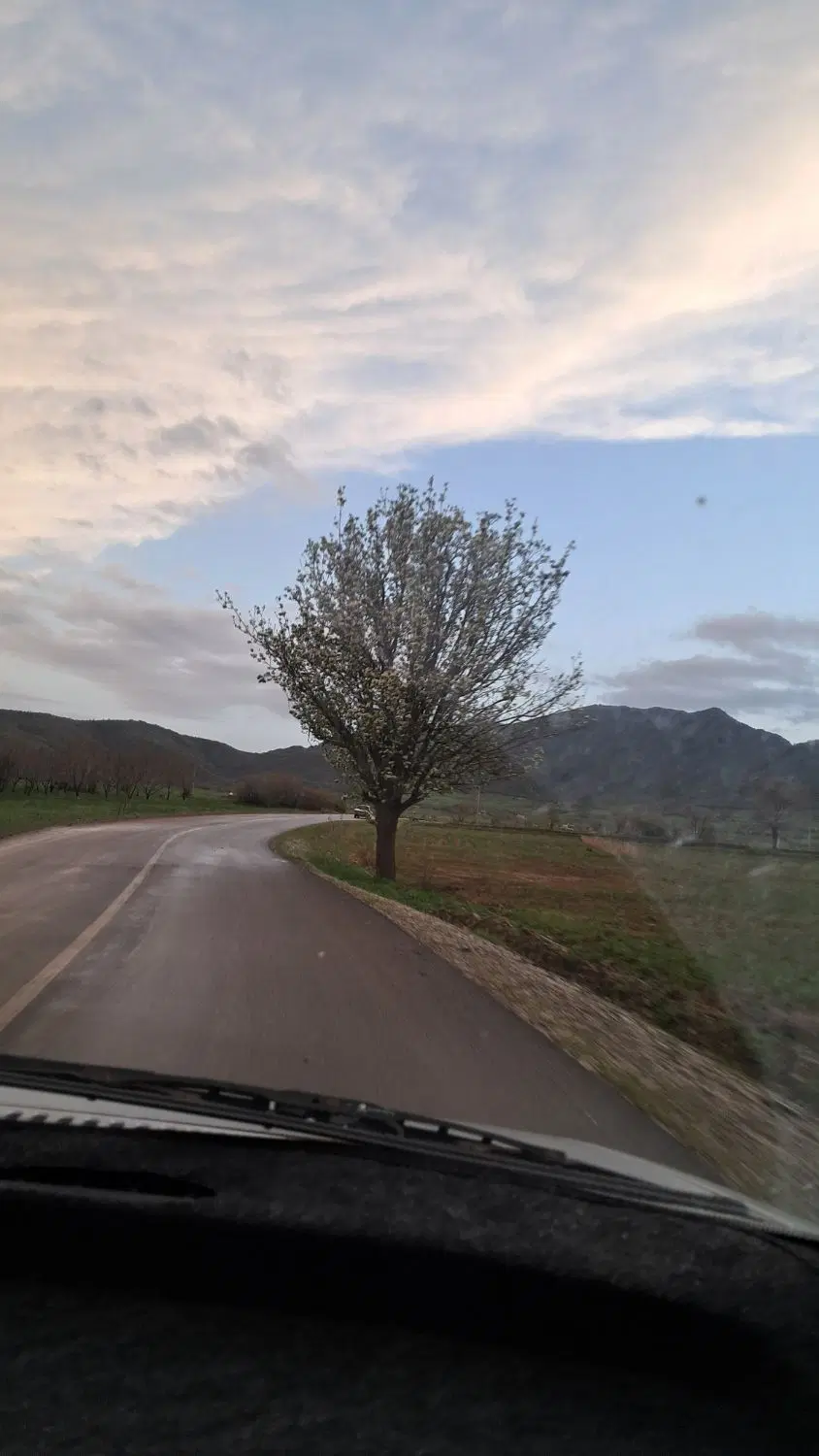 زمین