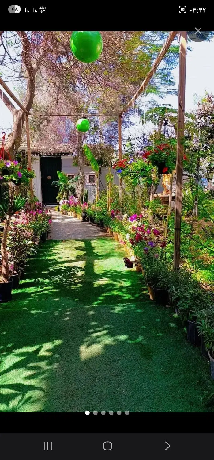 خانه اجاره ای در دالکی