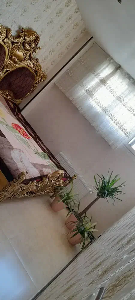 ۸۵ متر درچه ابتدای دینان