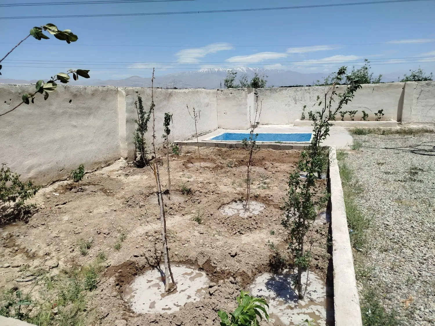 باغ باغچه چهار دیواری فیروز بهرام