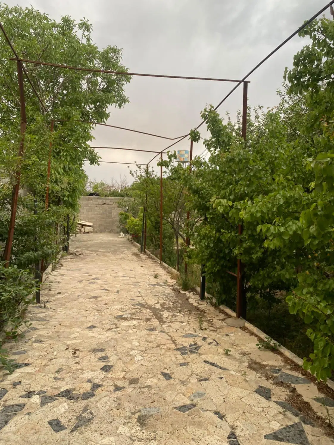 باغچه