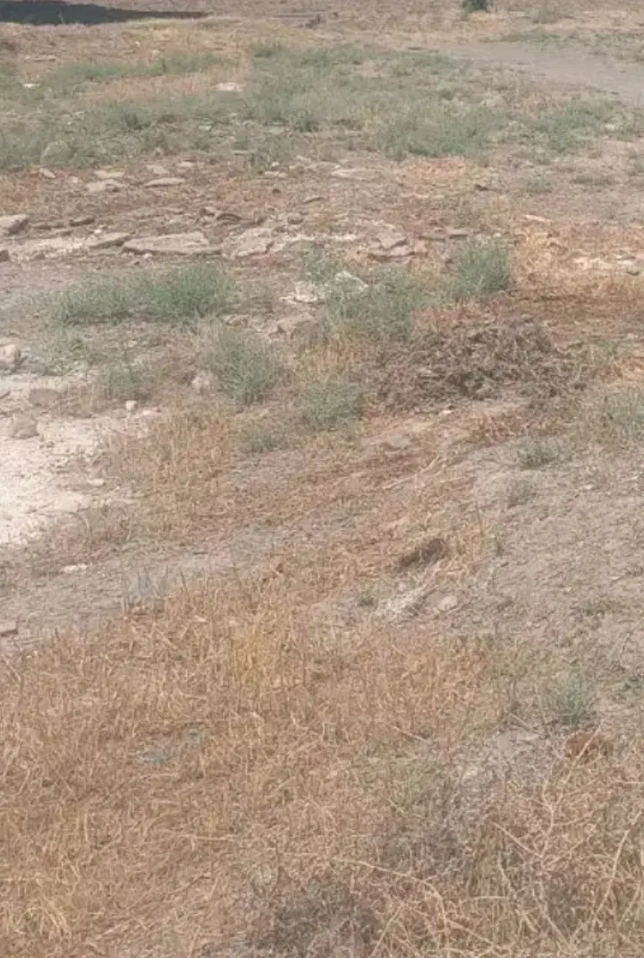فروش ی قطعه زمین