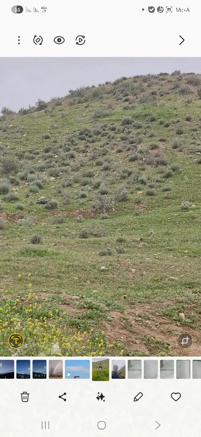زمین کشاورزی فسا