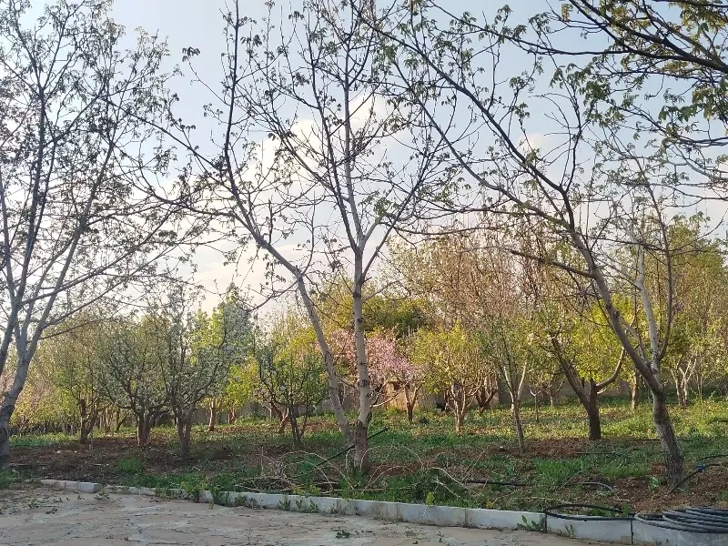 ۵۷۰۰متر باغ ۵۰۰متر بنای تریبلکس کلاسیک آبسرد