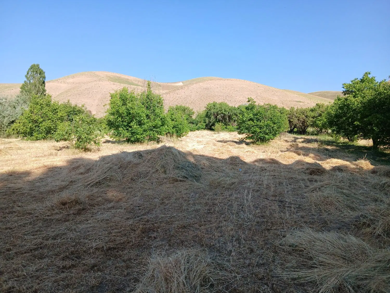 فروش زمین مسکونی