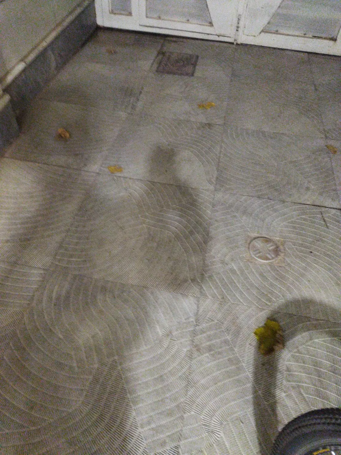خانه اجاره ی در خیابان منتظری