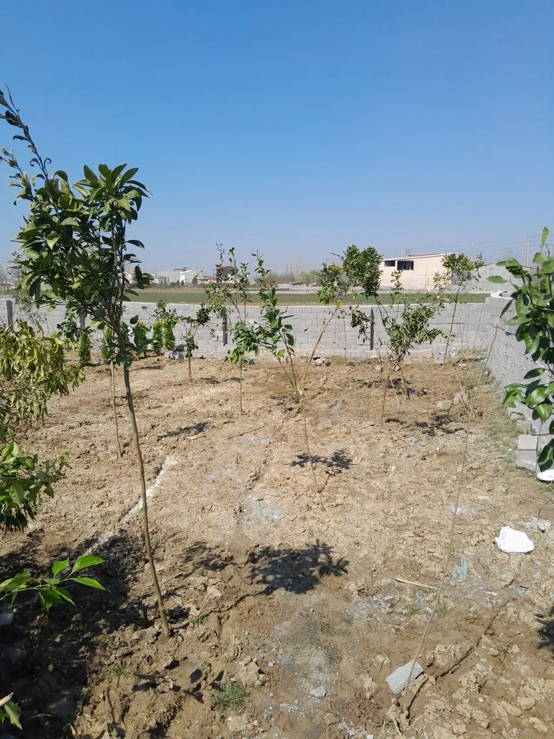 فروش زمین شمال چمستان معاوضه باخودرو