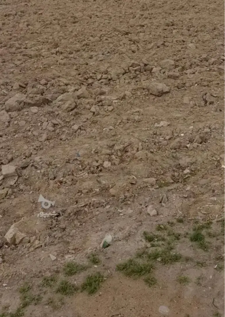 زمین تجاری مسکونی