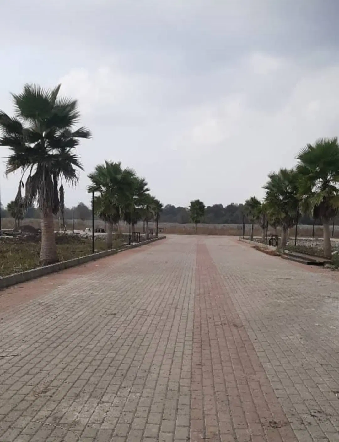 زمین فروشی مازندران  رویان سیاهرود
