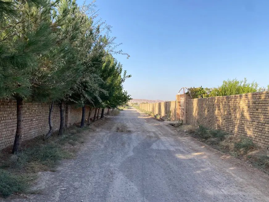 زمین چهاردیواری باغ