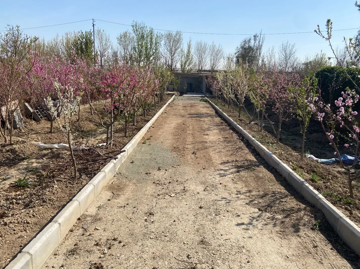 باغچه سنددار احمداباد مستوفی