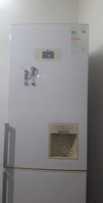 همخونه