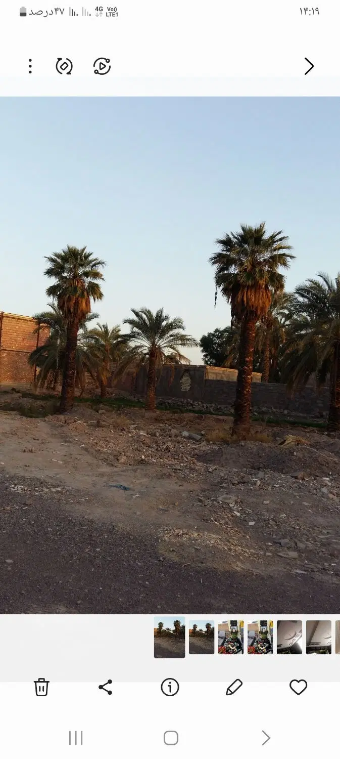 زمین مسکونی