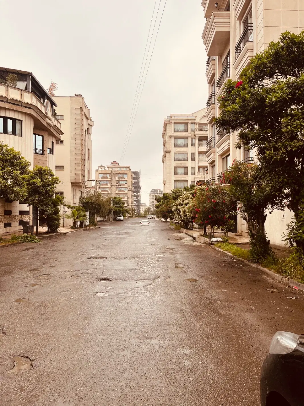 ۸۰۰ متر زمین با بر مناسب در ملل (لسانی)