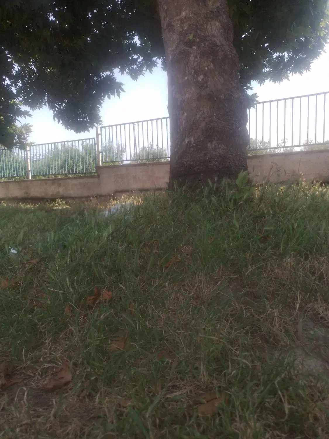 زمین ۲۰۵ متر