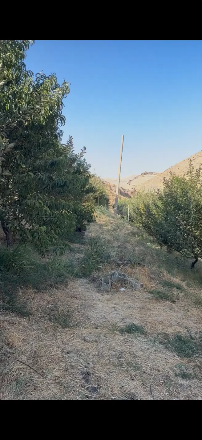 خانه باغ حاجی مامیان