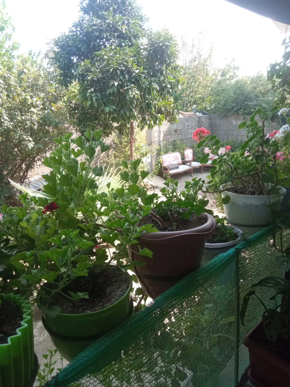 خونه ویلایی باغ
