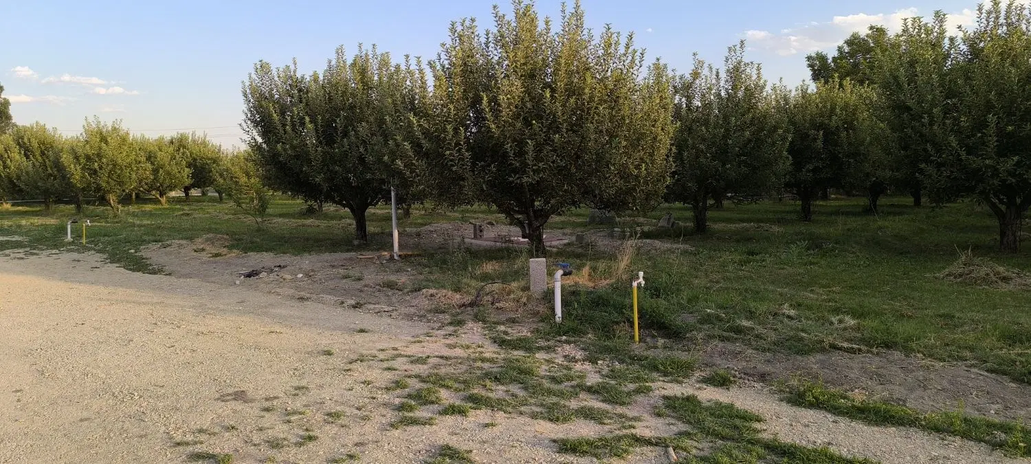 زمین مناسب برای ویلاسازی در چوبتراش بر آسفالت