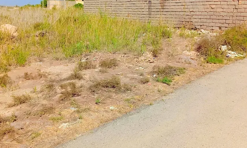 300 متر زمین در منیخ