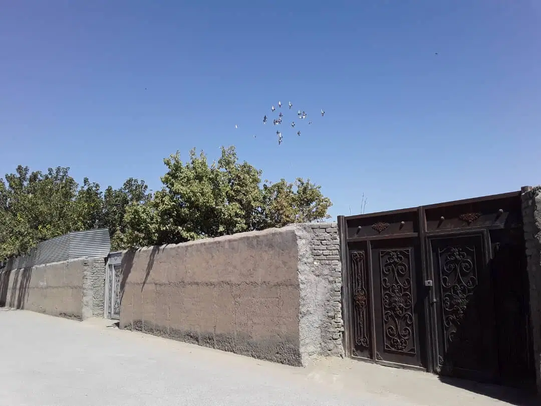 باغ محصور شده