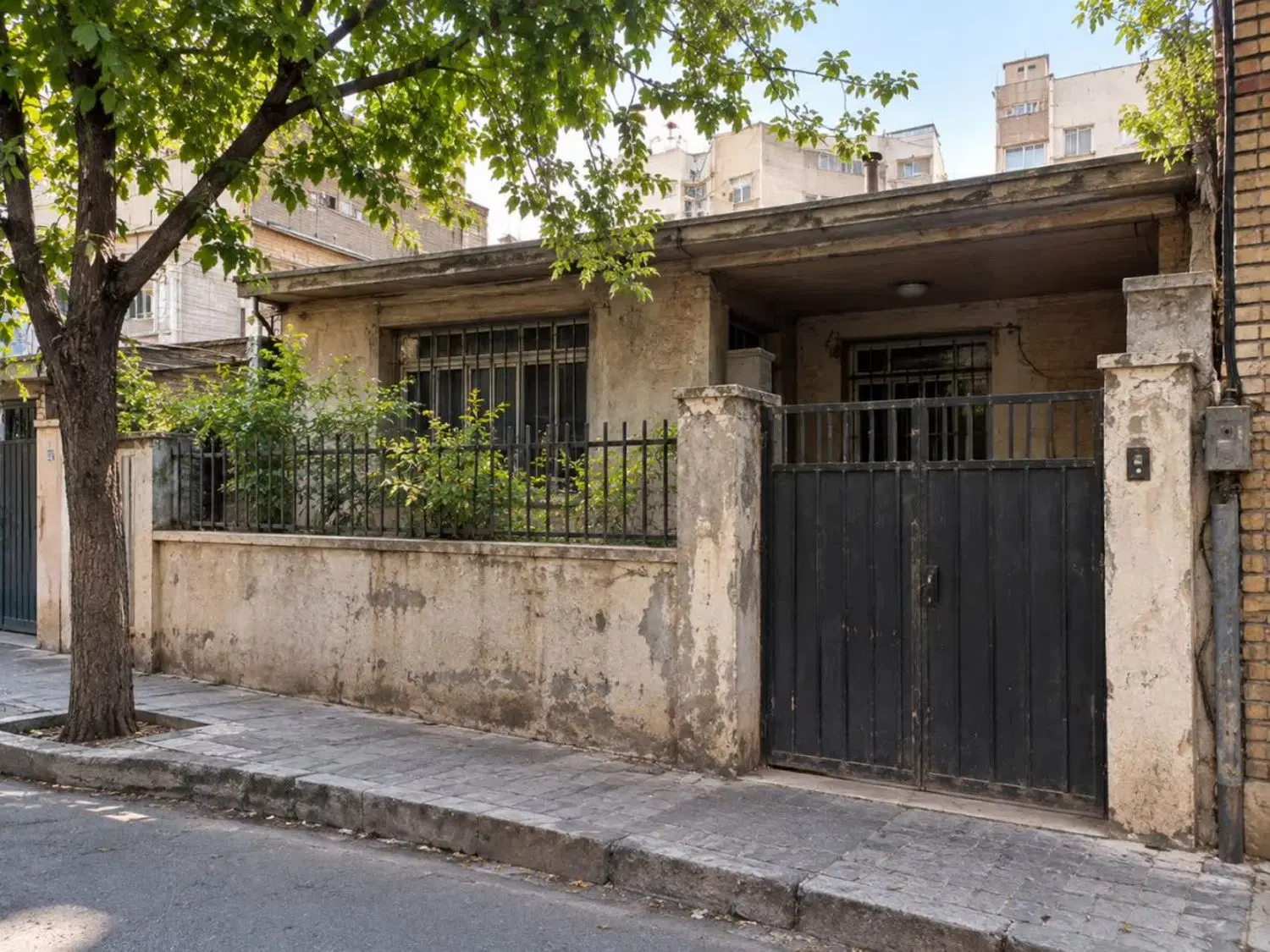 کلنگی فرصت طلایی
