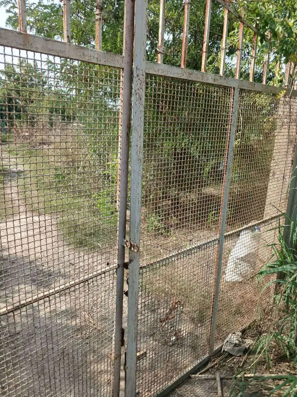 زمین باغی و مسکونی