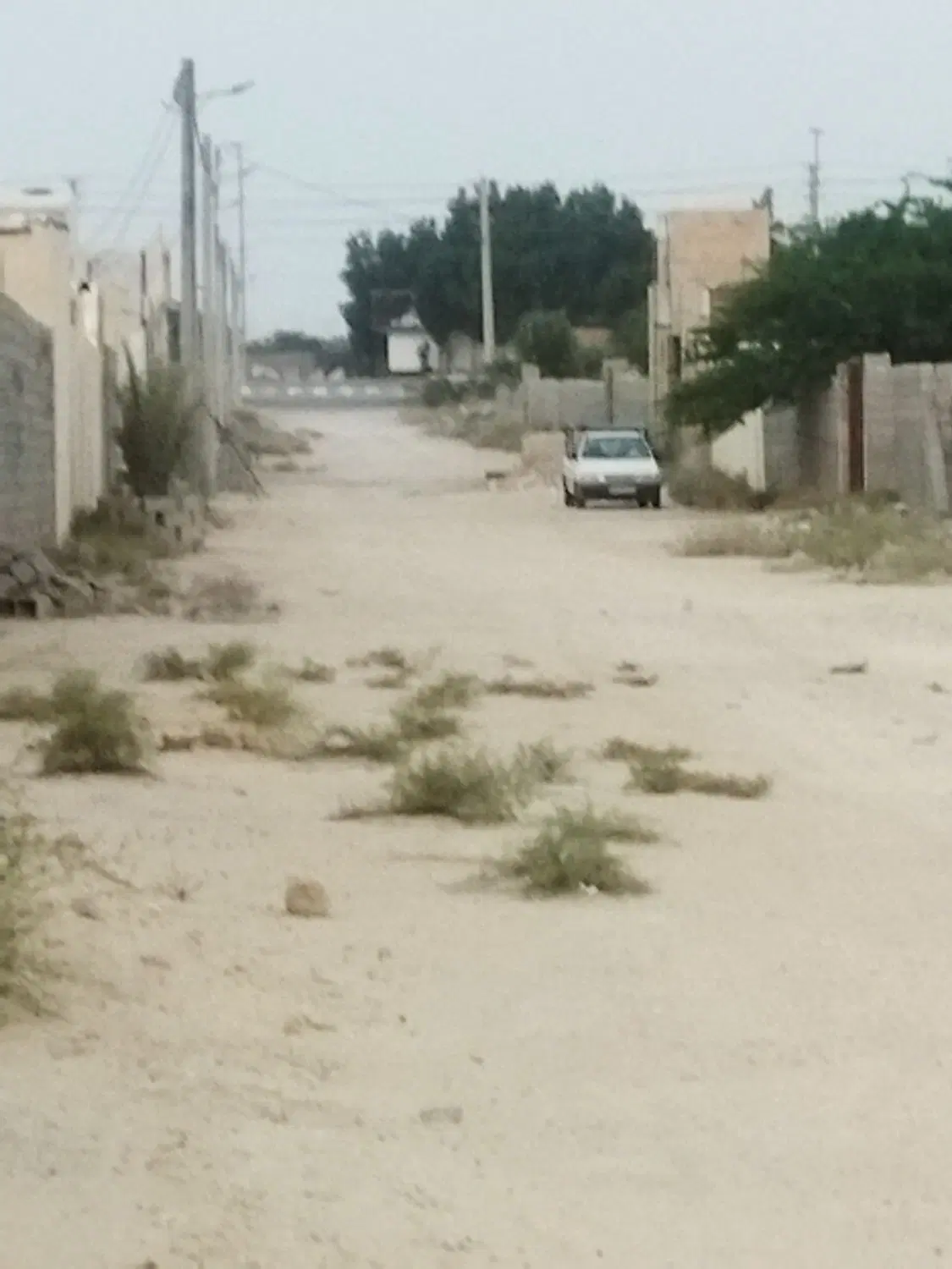 تنگک سوم زمینی پاک بدون مشکل