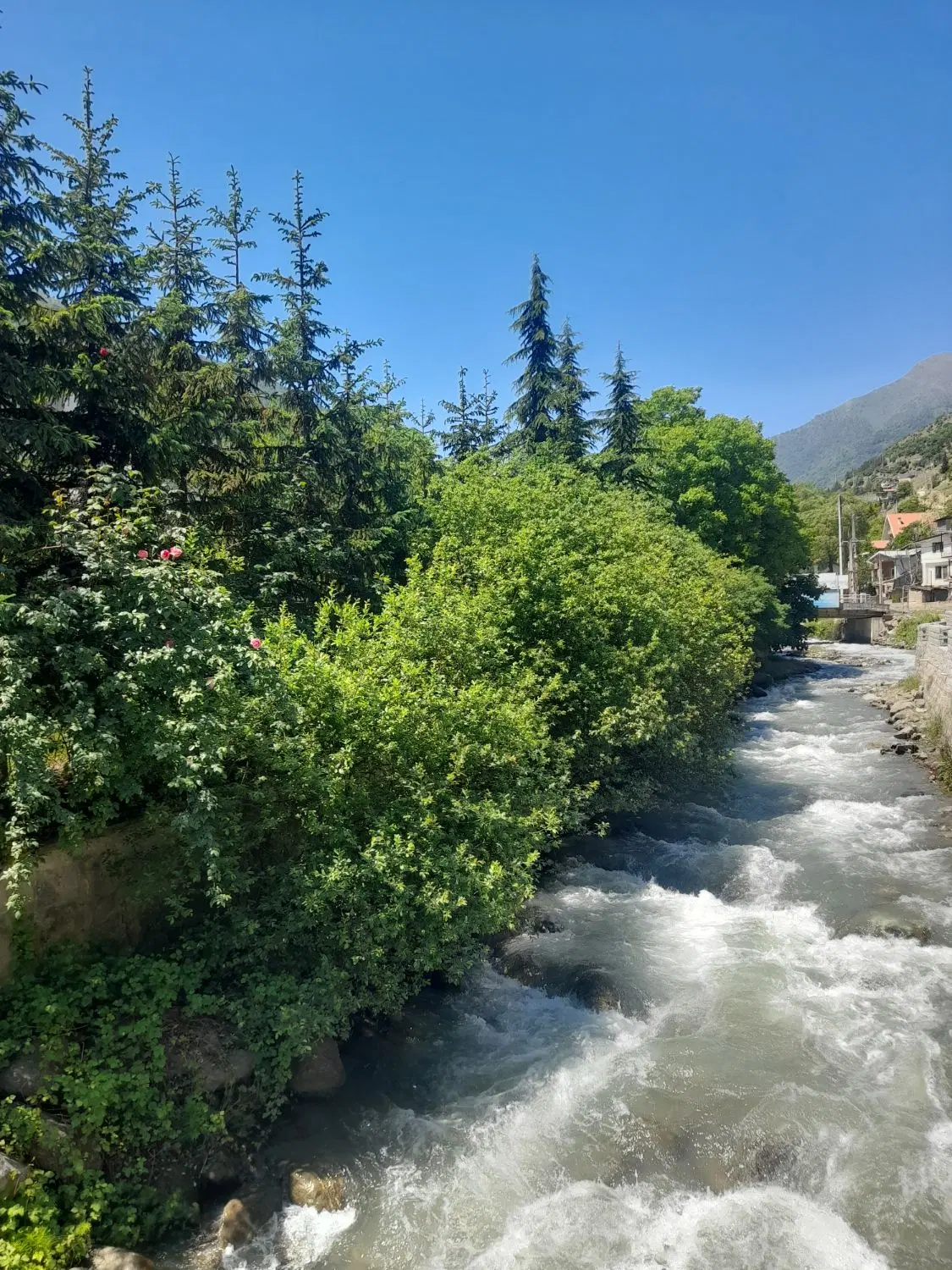 ویلای اجاره ای جفت رودخونه سردآبرود