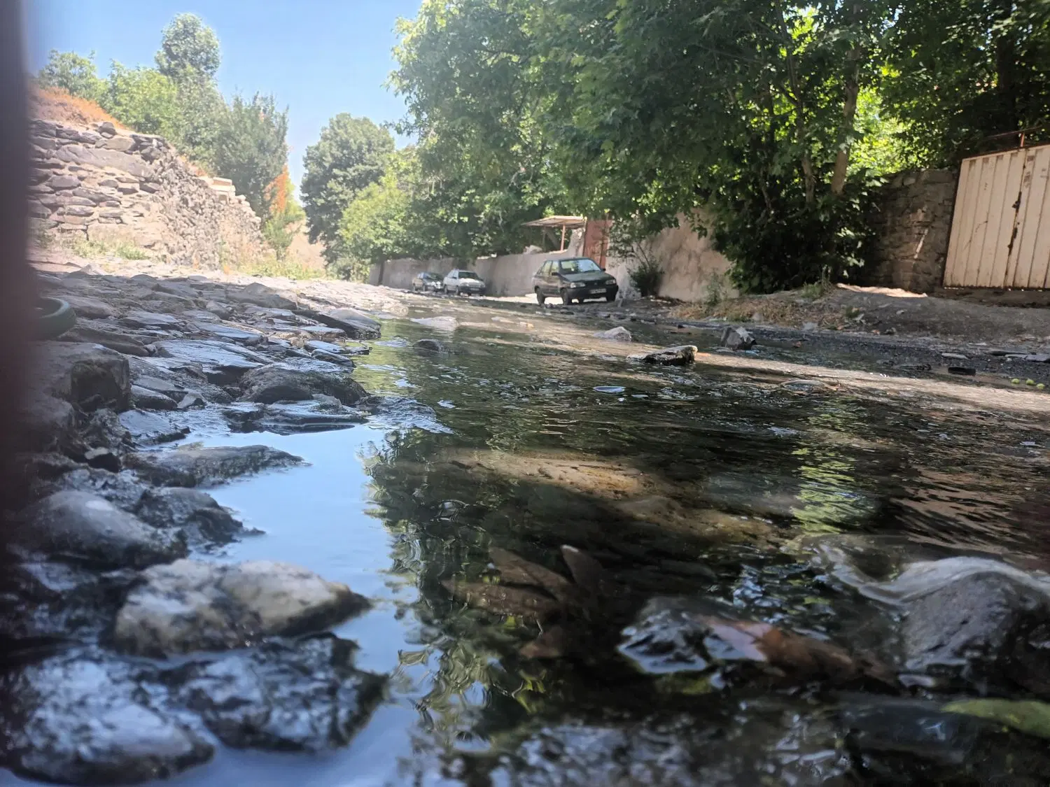 باغ ۸۰۰ متر فروشی