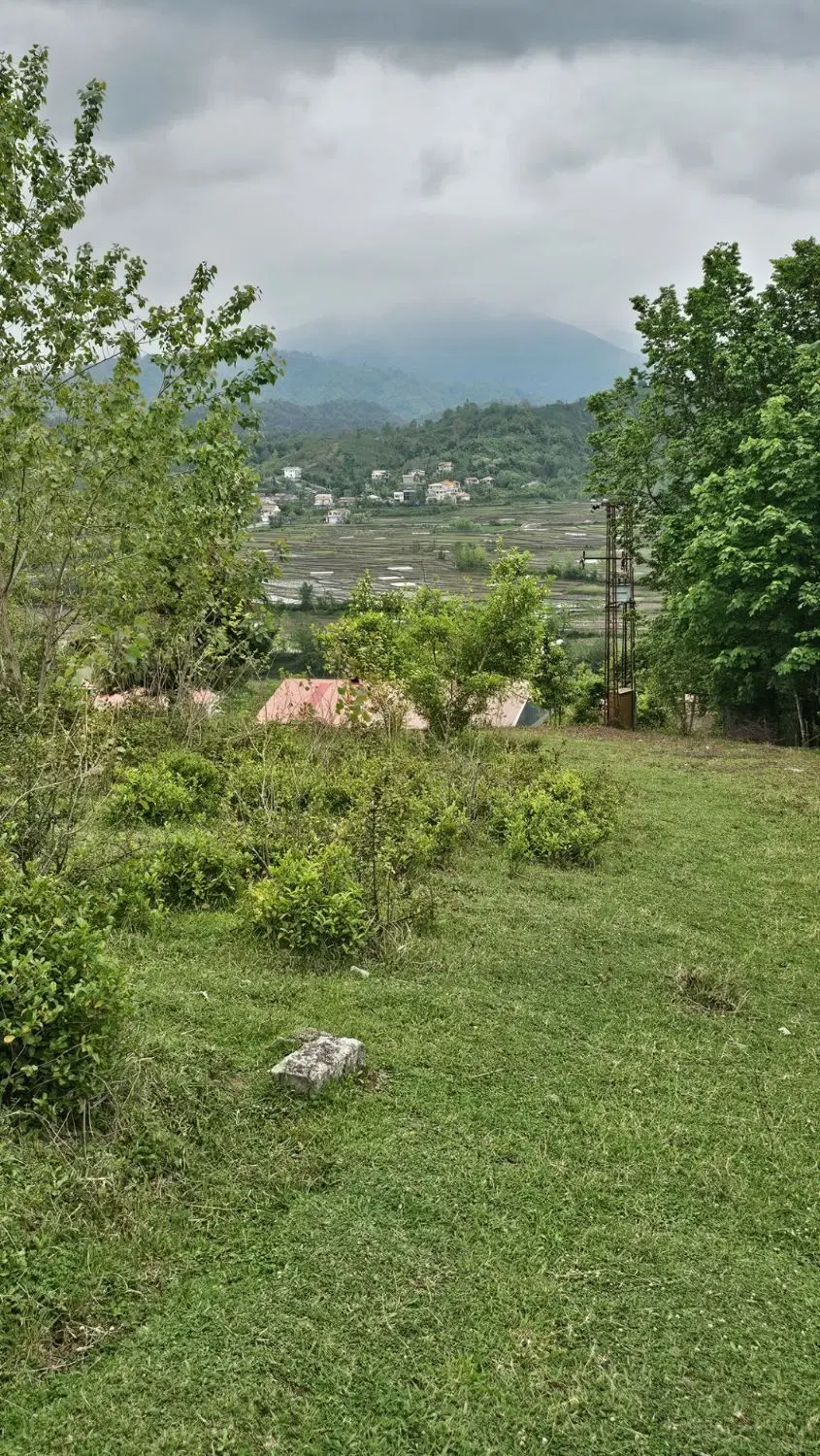 زمین باغی