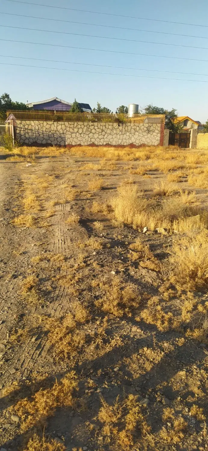فروش زمین باغی ساغشک(کورده)