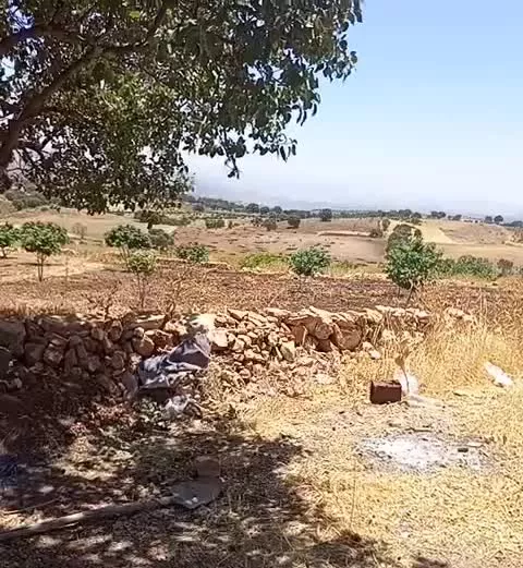 باغ انجیر