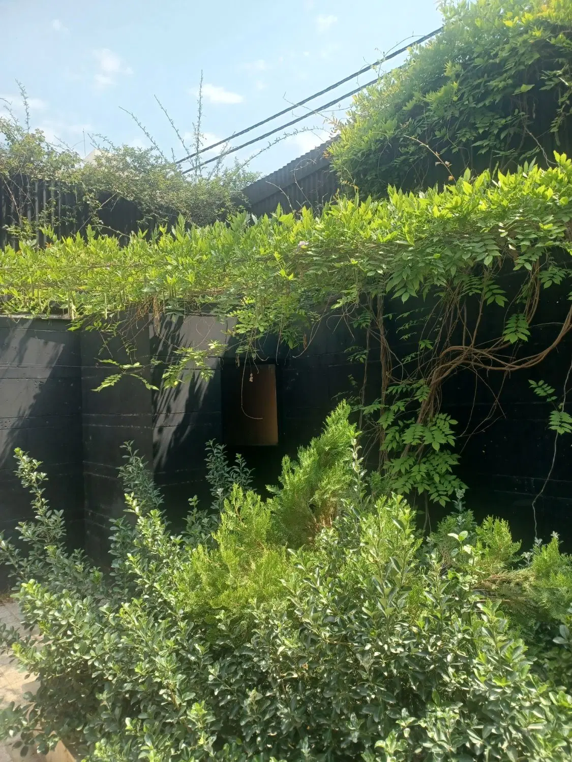 فضایی مناسب کترینگ. آشپزخانه