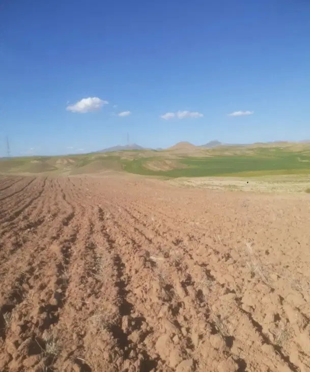 زمین کشاورزی
