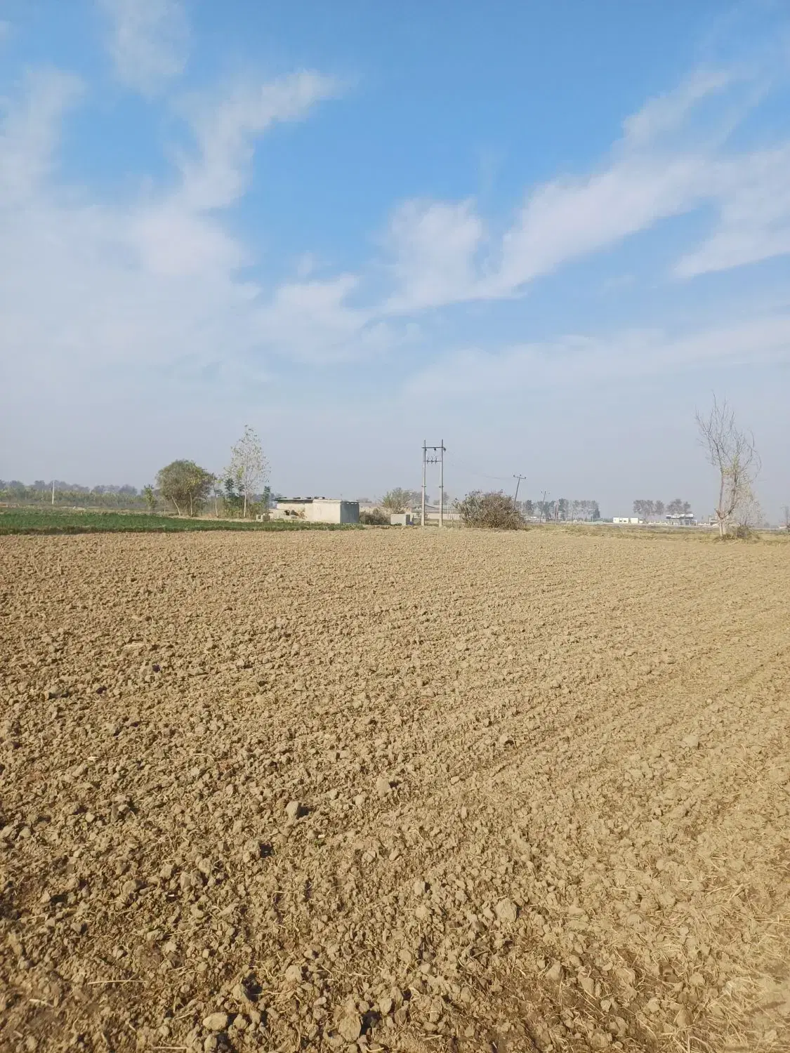 فروش زمین ۴۰۰۰ متری زمین کشاورزی درروستا