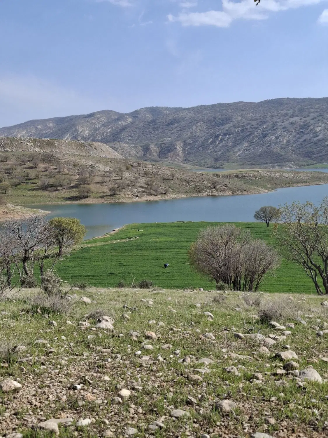 زمین مسکونی شهرک اندیشه
