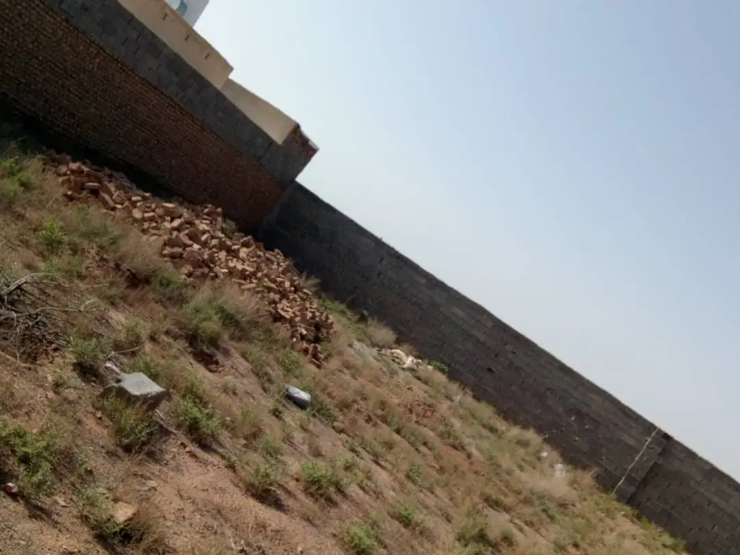زمین باغچه ای
