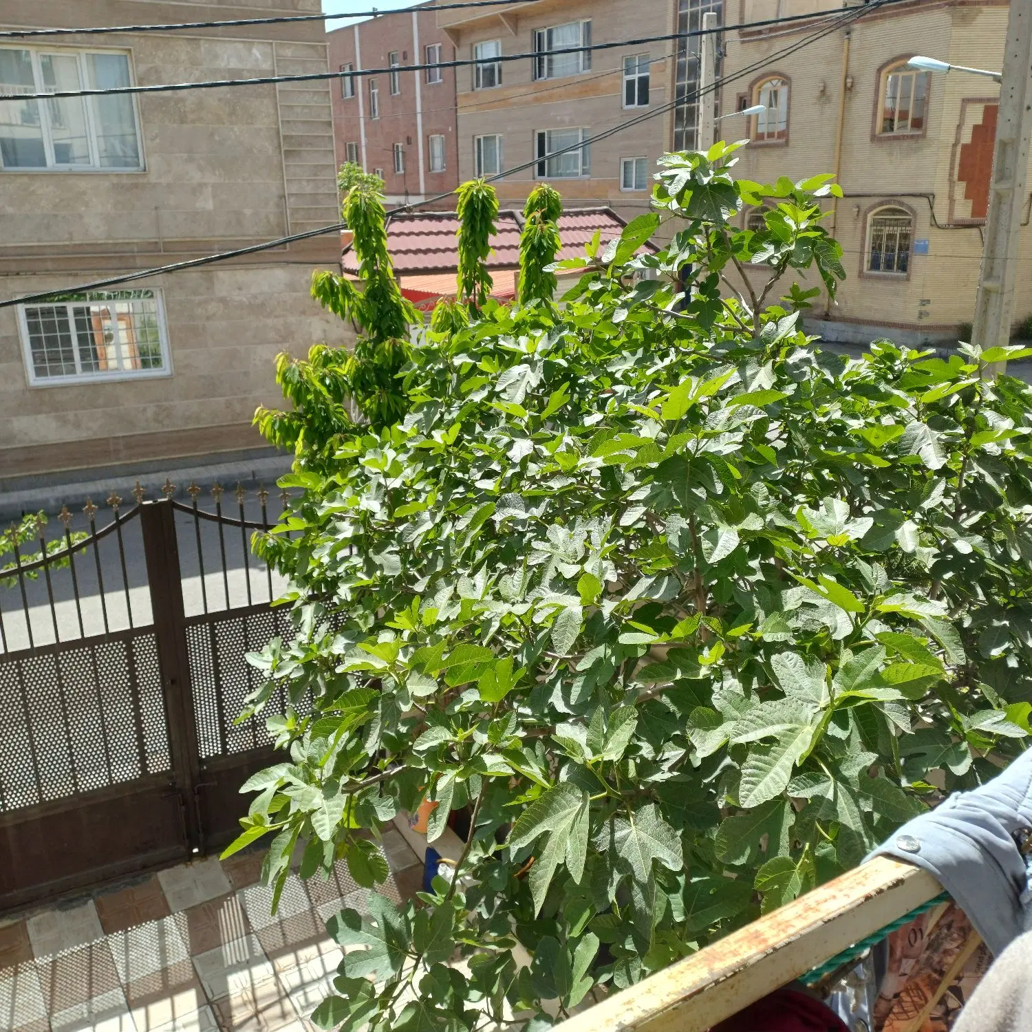 خانه ویلای گریزه شهرک کوثر 1