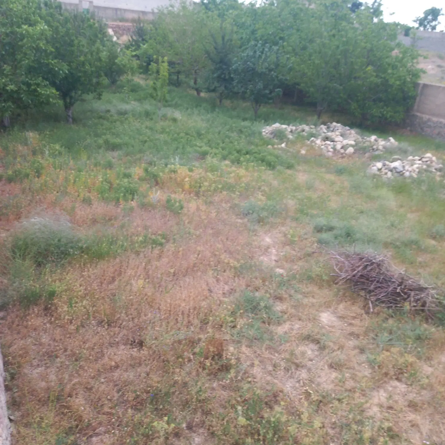 ۵۰۰متر زمین چهار دیواری کردان کوهسار شنده