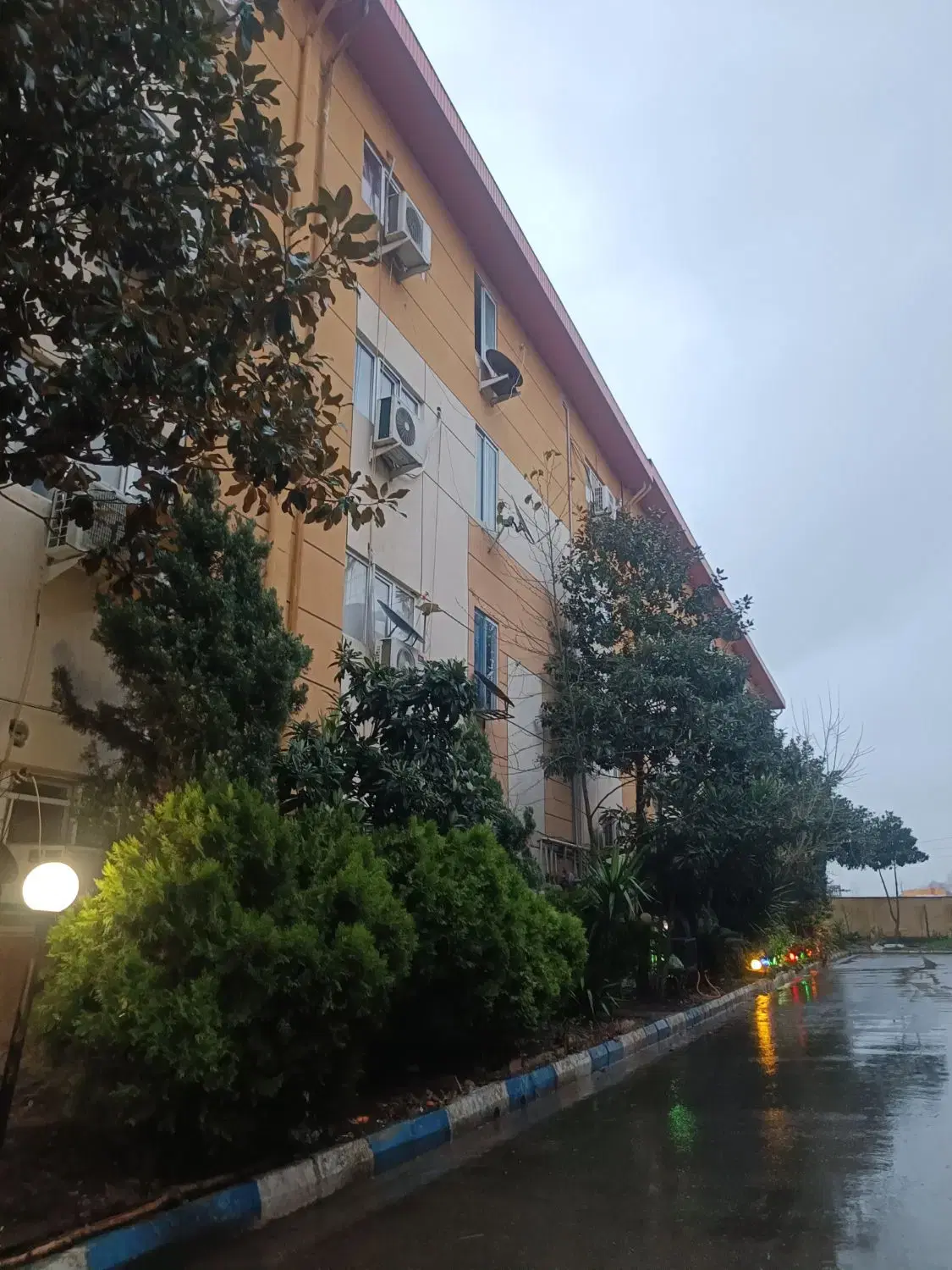واحد جنگلی دو خواب