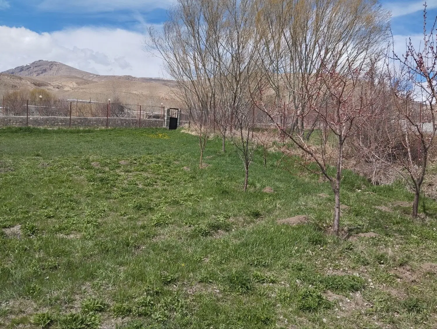 فروش زمین زراعی کشاورزی